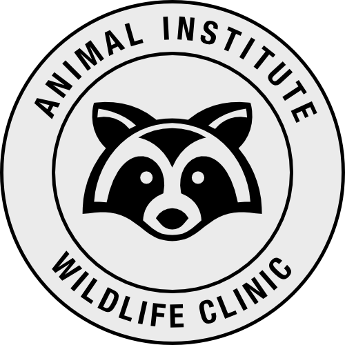 Animal Institute's Wildlife Clinic